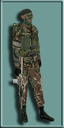 NPC_Marine_Scout ( marine_camo1 ).jpg