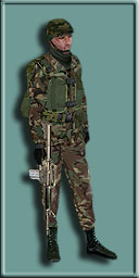 NPC_Marine_Soldier ( marine_washington ).jpg